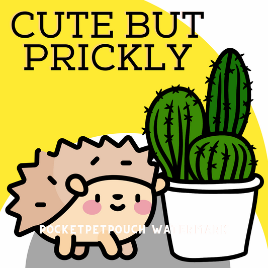 Cute but Prickly Hedgehog Cactus Magnet