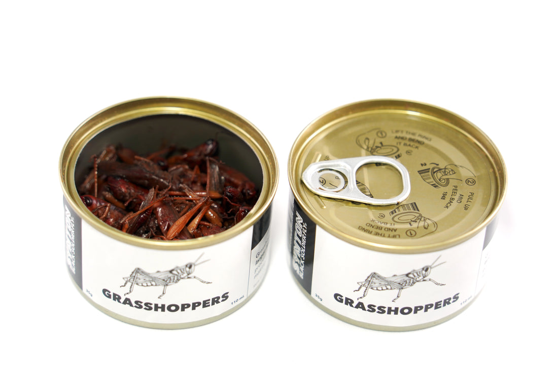 canned grasshopper preserved pet treat