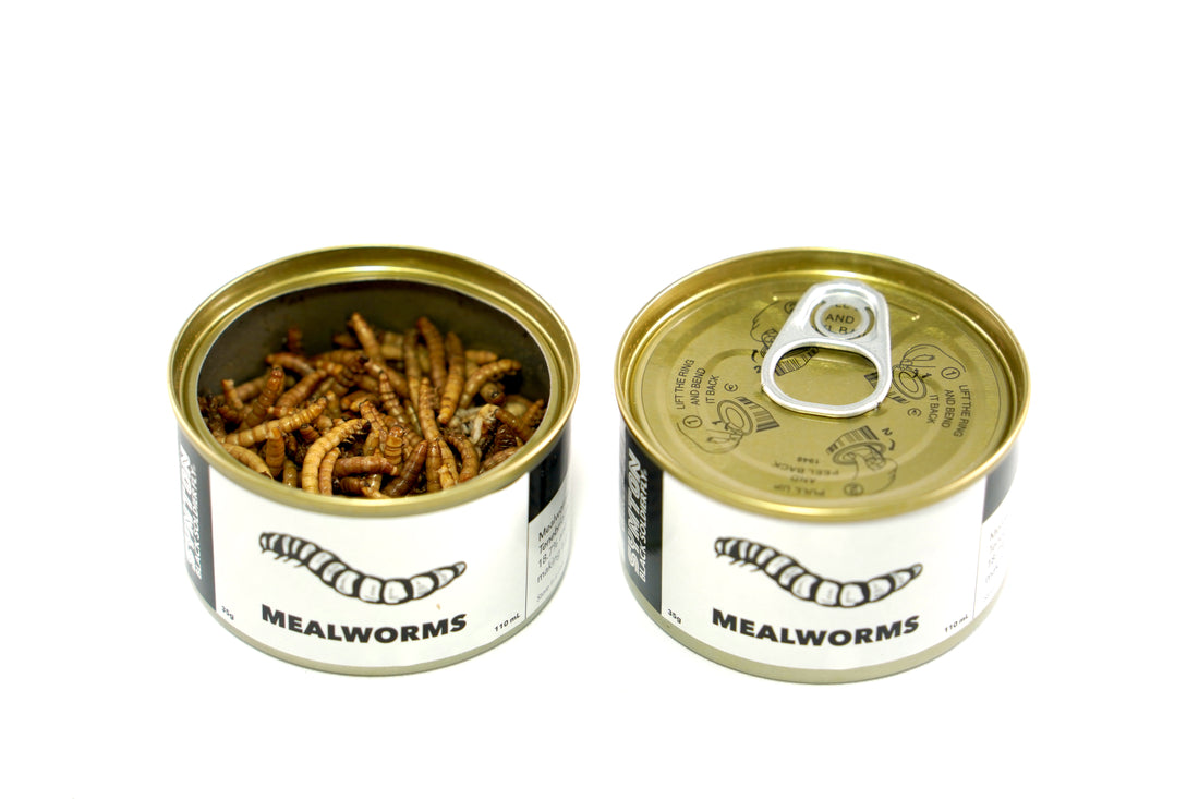 canned mealworm preserved pet treat