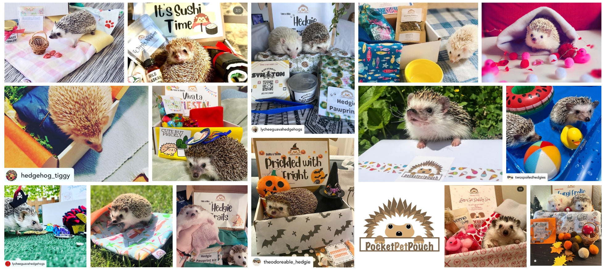 hedgehog box monthly gift products for hedgehogs and boxes