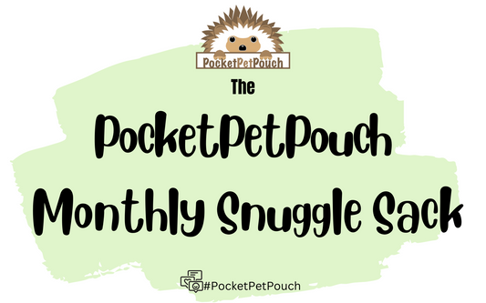 The PocketPetPouch Monthly Hedgehog Snuggle Sack