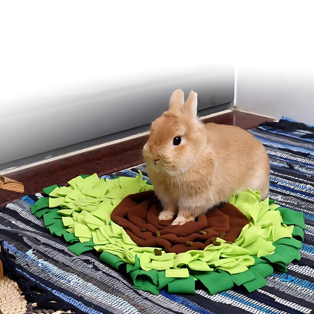 avocado pet snuffle mat for bunny rabbit hedgehog small pet forage mat