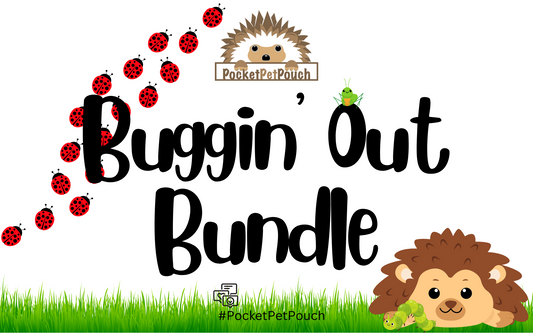Buggin' out Hedgehog Bundle Box. Cartoon Hedgehog and Lady bugs on a spring day.