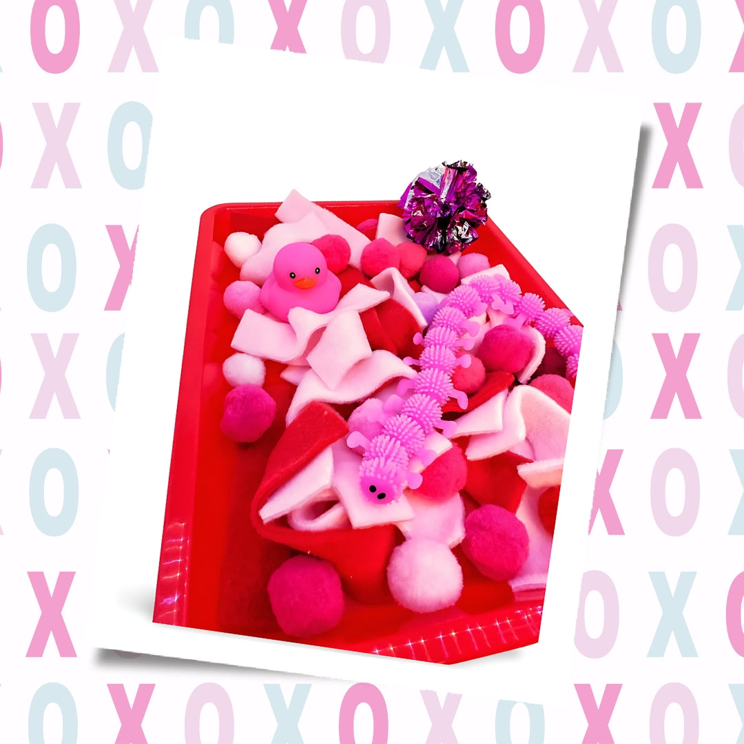 valentine's Day Hedgehog Dig Box anti pill fleece pom poms toy bundle