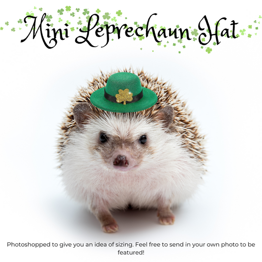 mini leprechaun st patricks day hedgehog hat small pet hamster guinea pig mouse rat