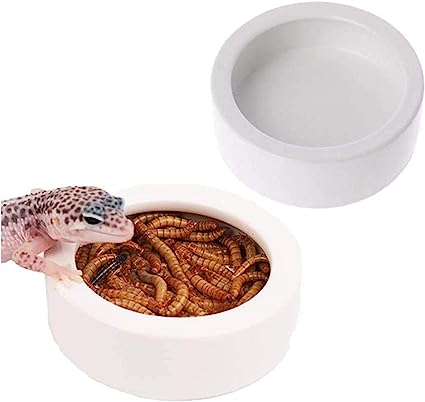mealworm dish ceramic hedgehog