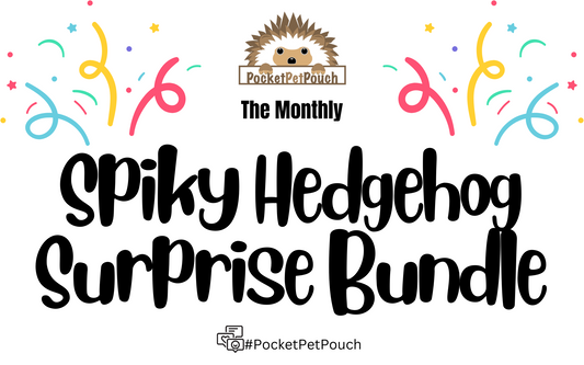 NEW! The Monthly Spiky Hedgehog Surprise Bundle