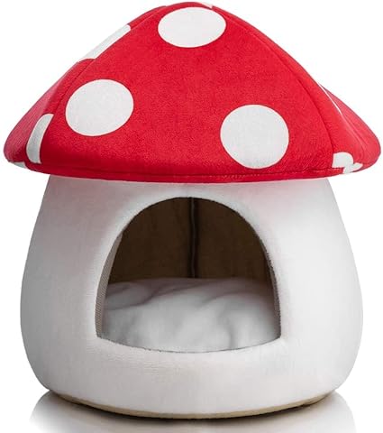 mushroom pet house