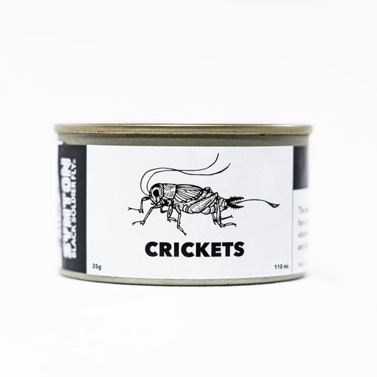 canned crickets preserved pet treat